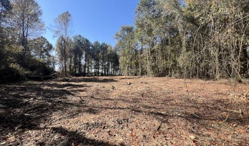 Photo #22 of SOLD property in Off Veaches Mill Road, Warsaw, NC 16.7 acres