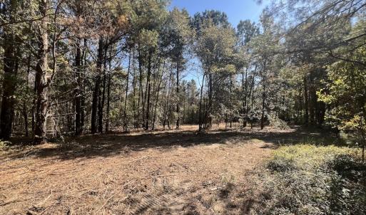 Photo #25 of SOLD property in Off Veaches Mill Road, Warsaw, NC 16.7 acres
