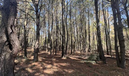 Photo #26 of SOLD property in Off Veaches Mill Road, Warsaw, NC 16.7 acres