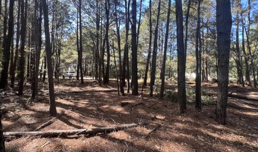 Photo #29 of SOLD property in Off Veaches Mill Road, Warsaw, NC 16.7 acres