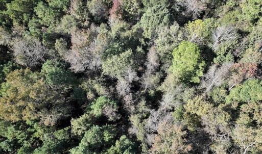 Photo #30 of SOLD property in Off Veaches Mill Road, Warsaw, NC 16.7 acres