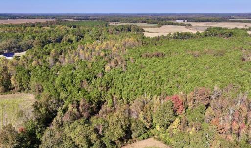 Photo #4 of SOLD property in Off Veaches Mill Road, Warsaw, NC 16.7 acres