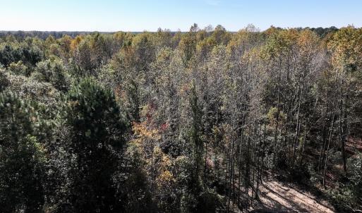 Photo #31 of SOLD property in Off Veaches Mill Road, Warsaw, NC 16.7 acres