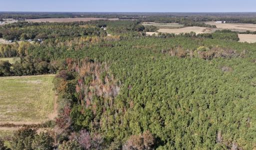 Photo #5 of SOLD property in Off Veaches Mill Road, Warsaw, NC 16.7 acres