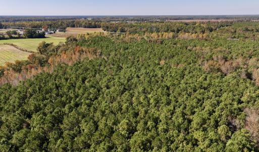 Photo #6 of SOLD property in Off Veaches Mill Road, Warsaw, NC 16.7 acres