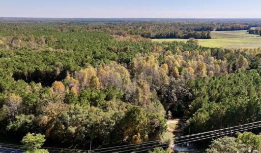 Photo #7 of SOLD property in Off Veaches Mill Road, Warsaw, NC 16.7 acres