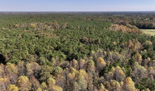 Photo #8 of SOLD property in Off Veaches Mill Road, Warsaw, NC 16.7 acres