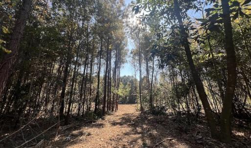 Photo #2 of SOLD property in Off Veaches Mill Road, Warsaw, NC 19.0 acres