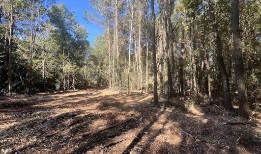 Photo #11 of SOLD property in Off Veaches Mill Road, Warsaw, NC 19.0 acres