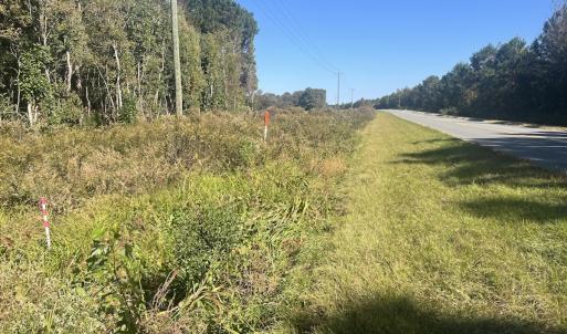 Photo #13 of SOLD property in Off Veaches Mill Road, Warsaw, NC 19.0 acres