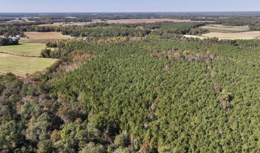 Photo #16 of SOLD property in Off Veaches Mill Road, Warsaw, NC 19.0 acres