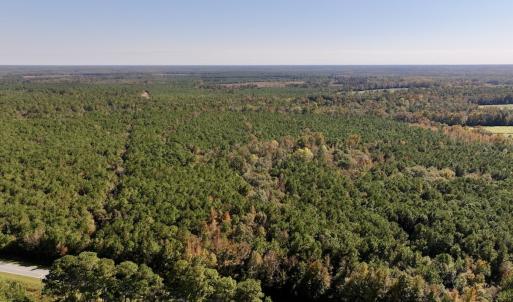 Photo #17 of SOLD property in Off Veaches Mill Road, Warsaw, NC 19.0 acres