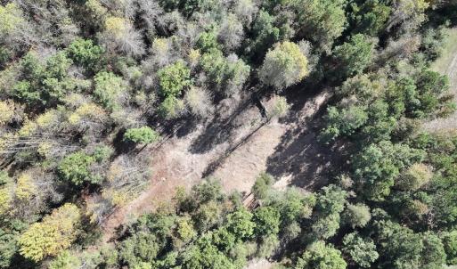 Photo #19 of SOLD property in Off Veaches Mill Road, Warsaw, NC 19.0 acres
