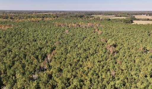 Photo #20 of SOLD property in Off Veaches Mill Road, Warsaw, NC 19.0 acres