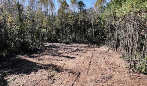 Photo #21 of SOLD property in Off Veaches Mill Road, Warsaw, NC 19.0 acres