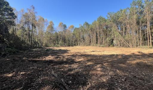 Photo #3 of SOLD property in Off Veaches Mill Road, Warsaw, NC 19.0 acres