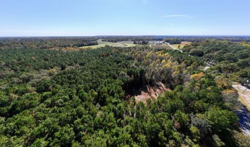Photo #22 of SOLD property in Off Veaches Mill Road, Warsaw, NC 19.0 acres