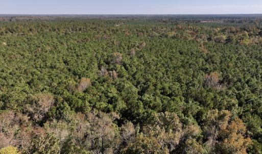 Photo #24 of SOLD property in Off Veaches Mill Road, Warsaw, NC 19.0 acres