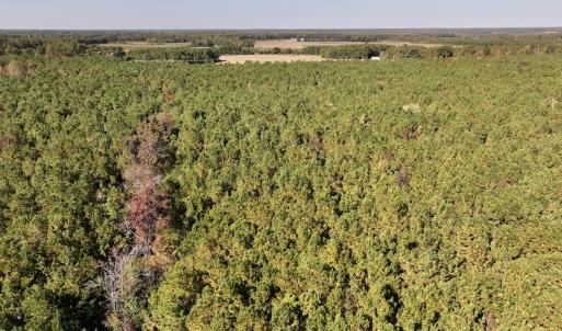 Photo #25 of SOLD property in Off Veaches Mill Road, Warsaw, NC 19.0 acres