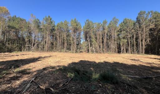 Photo #4 of SOLD property in Off Veaches Mill Road, Warsaw, NC 19.0 acres