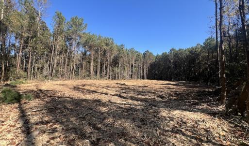 Photo #5 of SOLD property in Off Veaches Mill Road, Warsaw, NC 19.0 acres