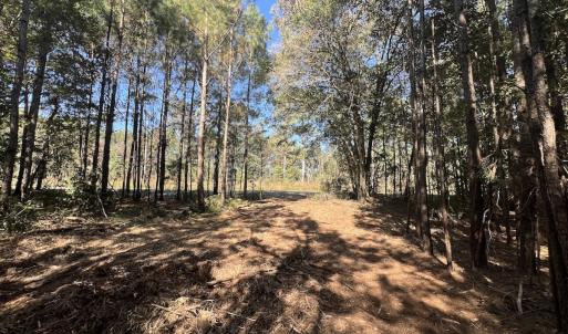 Photo #6 of SOLD property in Off Veaches Mill Road, Warsaw, NC 19.0 acres