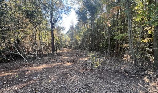 Photo #7 of SOLD property in Off Veaches Mill Road, Warsaw, NC 19.0 acres