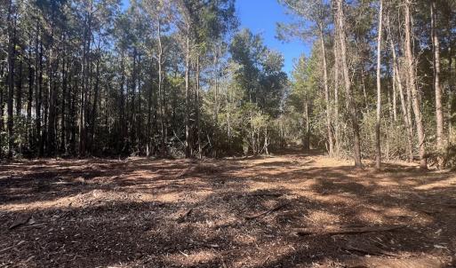 Photo #10 of SOLD property in Off Veaches Mill Road, Warsaw, NC 19.0 acres