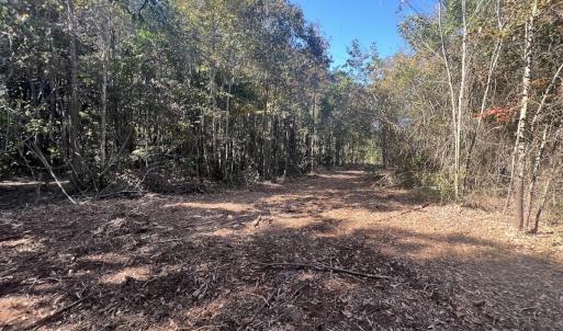Photo #14 of SOLD property in Off Veaches Mill Road, Warsaw, NC 19.0 acres