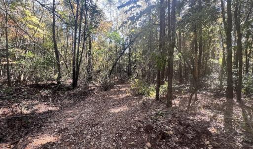 Photo #18 of SOLD property in Off Veaches Mill Road, Warsaw, NC 19.0 acres