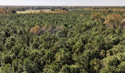Photo #7 of SOLD property in Off Veaches Mill Road, Warsaw, NC 19.0 acres