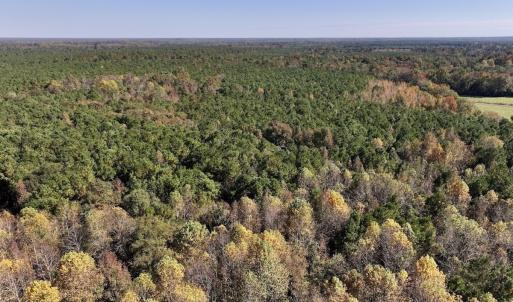 Photo #8 of SOLD property in Off Veaches Mill Road, Warsaw, NC 19.0 acres