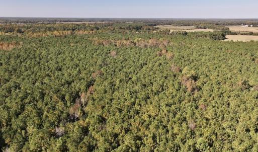 Photo #11 of SOLD property in Off Veaches Mill Road, Warsaw, NC 19.0 acres