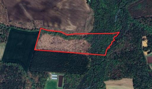 Photo #1 of SOLD property in 1804 OFF E/S, Old Chinquapin Road, Beulaville, NC 28.4 acres