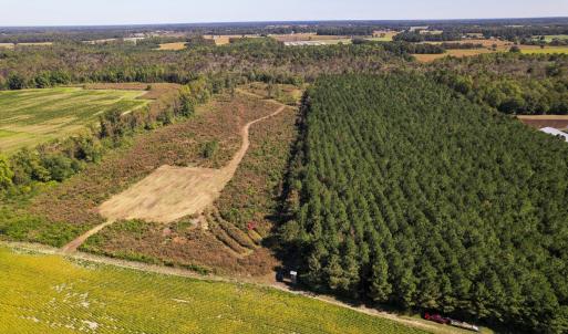 Photo #2 of SOLD property in 1804 OFF E/S, Old Chinquapin Road, Beulaville, NC 28.4 acres