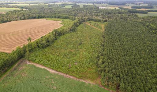 Photo #3 of SOLD property in 1804 OFF E/S, Old Chinquapin Road, Beulaville, NC 28.4 acres