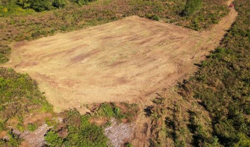 Photo #4 of SOLD property in 1804 OFF E/S, Old Chinquapin Road, Beulaville, NC 28.4 acres
