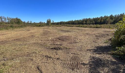 Photo #5 of SOLD property in 1804 OFF E/S, Old Chinquapin Road, Beulaville, NC 28.4 acres
