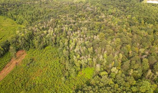 Photo #9 of SOLD property in 1804 OFF E/S, Old Chinquapin Road, Beulaville, NC 28.4 acres