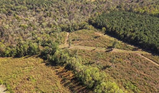 Photo #10 of SOLD property in 1804 OFF E/S, Old Chinquapin Road, Beulaville, NC 28.4 acres