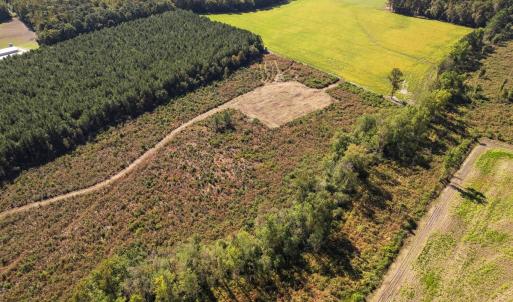 Photo #12 of SOLD property in 1804 OFF E/S, Old Chinquapin Road, Beulaville, NC 28.4 acres