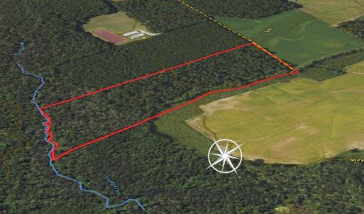 Photo #13 of SOLD property in 1804 OFF E/S, Old Chinquapin Road, Beulaville, NC 28.4 acres