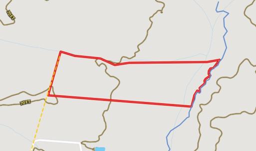 Photo #15 of SOLD property in 1804 OFF E/S, Old Chinquapin Road, Beulaville, NC 28.4 acres