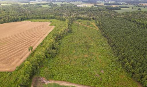 Photo #16 of SOLD property in 1804 OFF E/S, Old Chinquapin Road, Beulaville, NC 28.4 acres