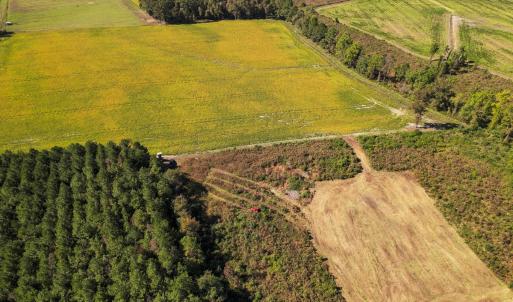 Photo #17 of SOLD property in 1804 OFF E/S, Old Chinquapin Road, Beulaville, NC 28.4 acres