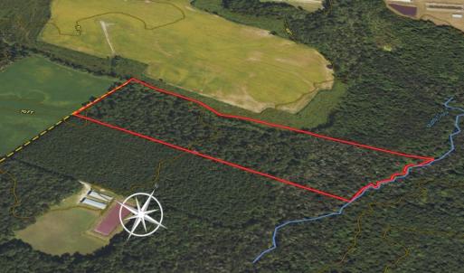 Photo #19 of SOLD property in 1804 OFF E/S, Old Chinquapin Road, Beulaville, NC 28.4 acres