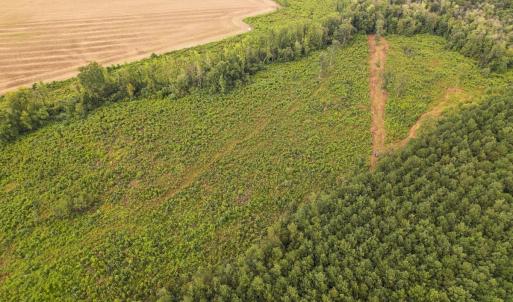 Photo #20 of SOLD property in 1804 OFF E/S, Old Chinquapin Road, Beulaville, NC 28.4 acres