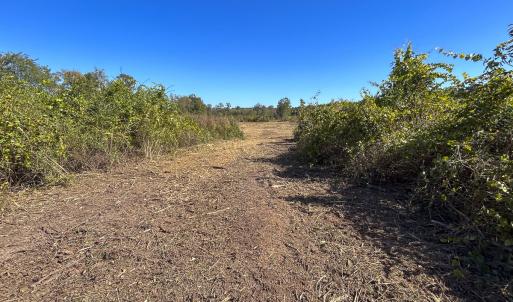Photo #21 of SOLD property in 1804 OFF E/S, Old Chinquapin Road, Beulaville, NC 28.4 acres