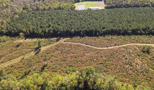 Photo #22 of SOLD property in 1804 OFF E/S, Old Chinquapin Road, Beulaville, NC 28.4 acres