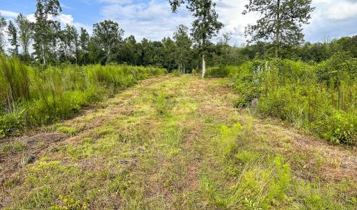 Photo #23 of SOLD property in 1804 OFF E/S, Old Chinquapin Road, Beulaville, NC 28.4 acres